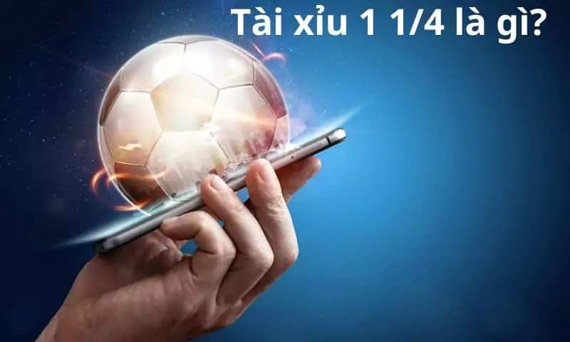 Giới thiệu tổng quan về kèo tài xỉu 1 1/4 trong cá độ 